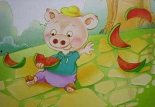 小猪吃瓜的视频,欢乐无限,萌态十足