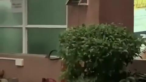 亳州最新吃瓜新闻报道视频,揭秘视频背后的惊人真相