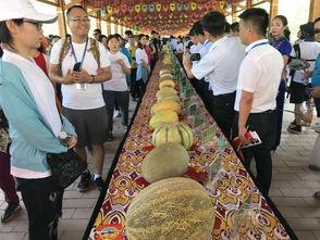 围观吃瓜观众怎么做视频,揭秘短视频制作背后的趣味与技巧