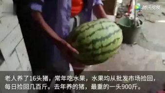 一吃瓜视频,娱乐圈幕后真相大曝光