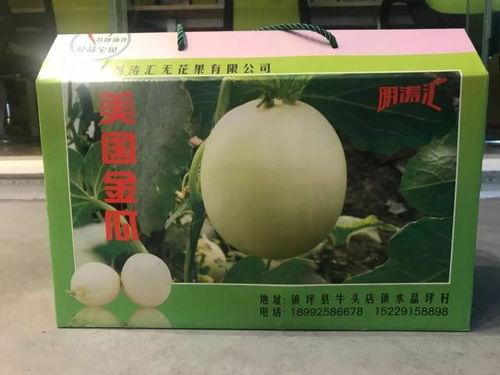 金瓜吃瓜视频网站入口,揭秘热门视频网站入口，畅享娱乐新体验